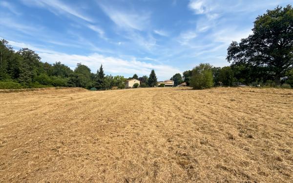 Terrain à vendre