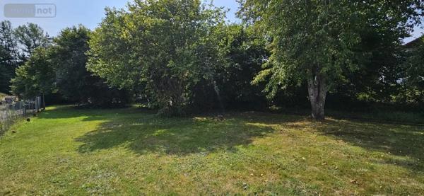 Achat - Immeuble Étival-Clairefontaine 88480 277 m 2 2134 m 2