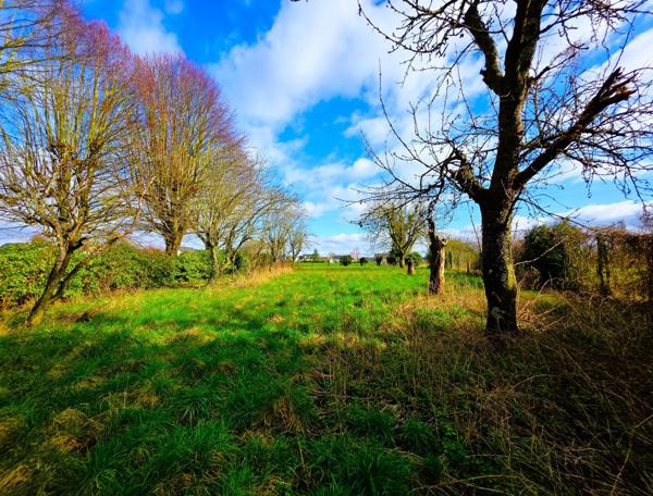 Propriété rurale, ses dépendances et ses terres agricoles