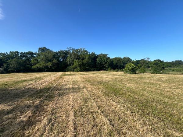 Maison Faverolles Sur Cher - 152 m²