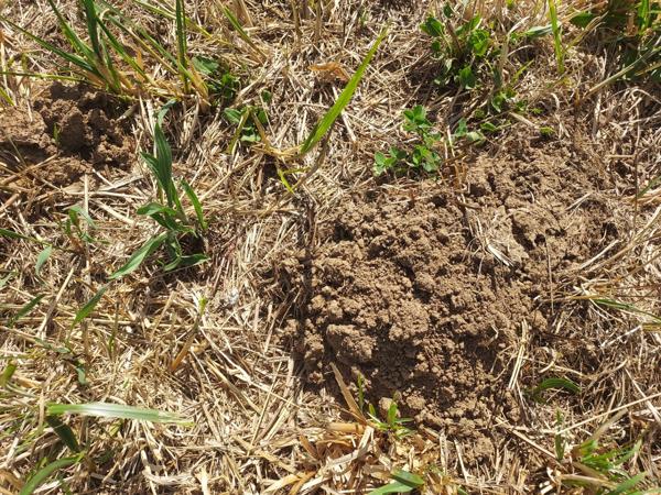 Terrain à vendre de 1 800,00 m² LANZAC (46)
