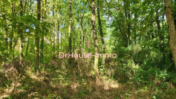 Terrain à vendre de 3 520 m²