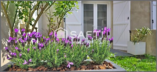 Le charme de l'ancien, sans travaux.