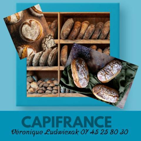 Fonds de commerce à vendre:BOULANGERIE /PATISSERIE  proche de TEMPLEUVE (59)