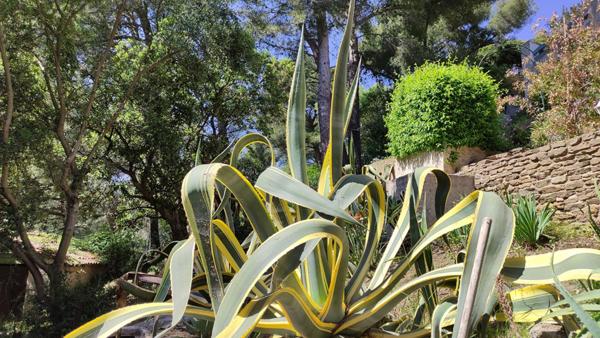 COUP DE COEUR BORMES Superbe  Propriété 360 m2 /2155m²  piscine garages parkings