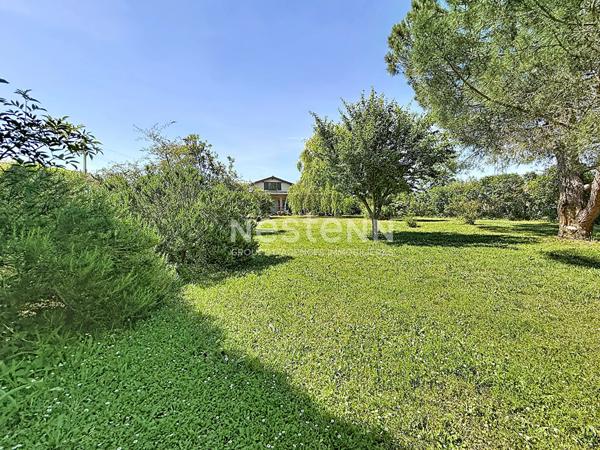 A VENDRE - ROQUES - MAISON FAMILIALE - 3000  M² DE TERRAIN