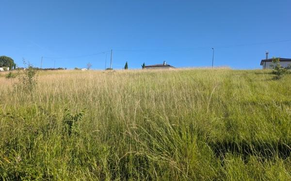 Terrain 119 900 € L'Isle-Jourdain 1150 m² DPE