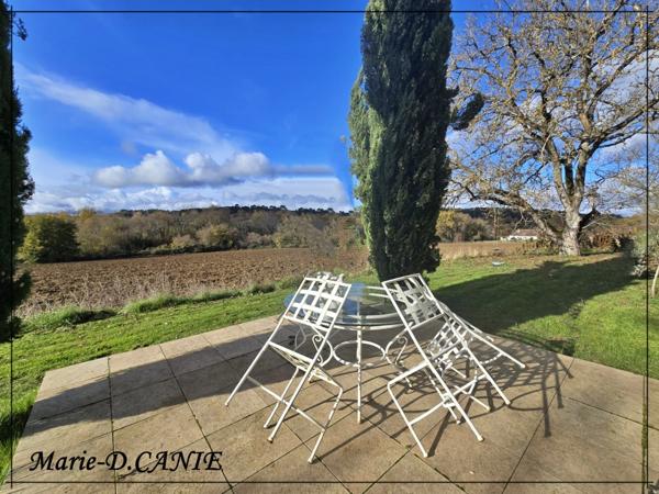 Maison à vendre 10 pièces BUZET SUR BAISE (47)