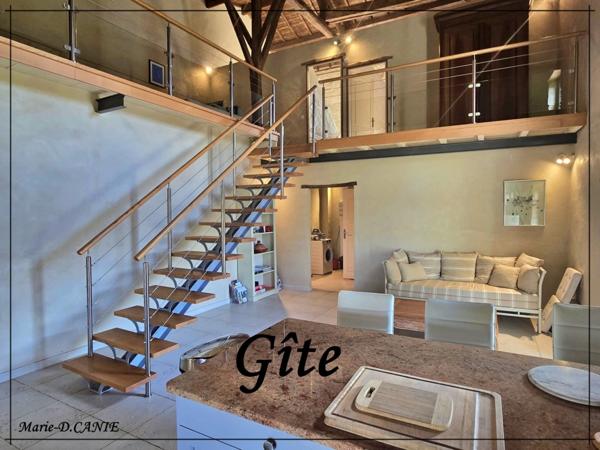 Maison à vendre 10 pièces BUZET SUR BAISE (47)