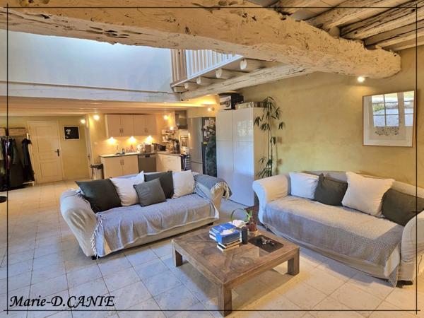 Maison à vendre 10 pièces BUZET SUR BAISE (47)