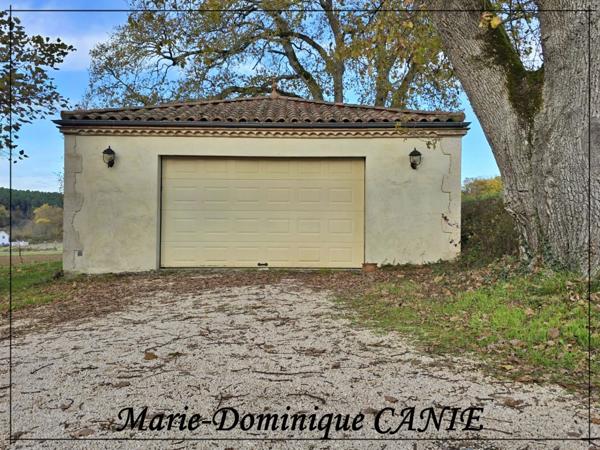 Maison à vendre 10 pièces BUZET SUR BAISE (47)