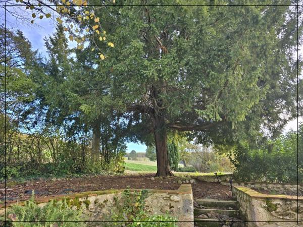 Maison à vendre 10 pièces BUZET SUR BAISE (47)