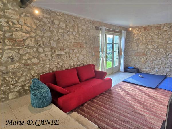 Maison à vendre 10 pièces BUZET SUR BAISE (47)