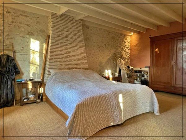 Maison à vendre 10 pièces BUZET SUR BAISE (47)