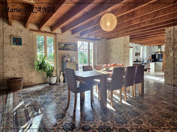 Maison à vendre 10 pièces BUZET SUR BAISE (47)