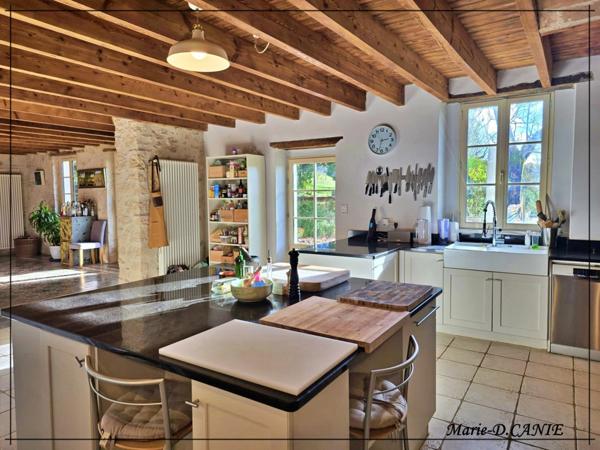 Maison à vendre 10 pièces BUZET SUR BAISE (47)