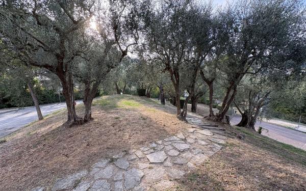 Appartement à vendre    4 pièces •  La Trinité