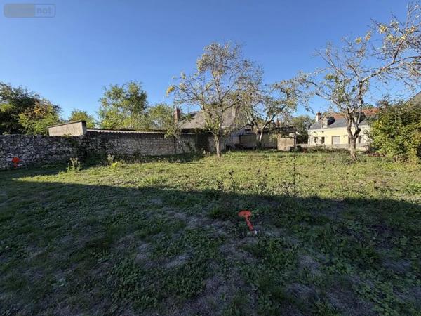 Achat - Terrain à bâtir Notre-Dame-d'Oé 37390 372 m 2