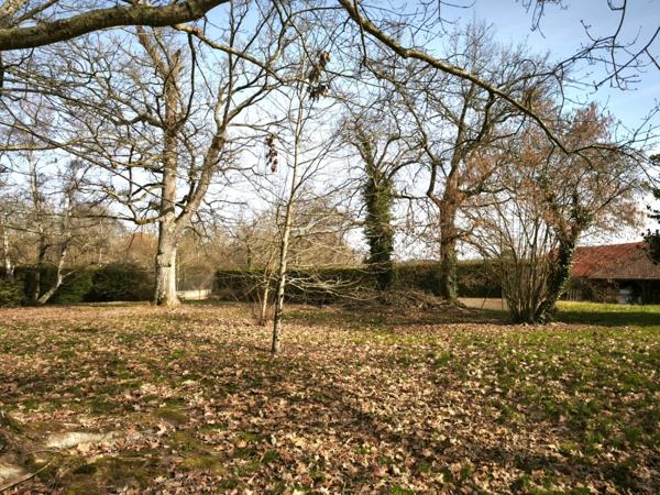 Propriété, Corps de ferme à vendre 9 pièces SAINT GEIN (40)