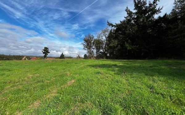 Terrain à vendre    Vallon-en-Sully