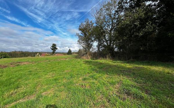 Terrain à vendre    Vallon-en-Sully