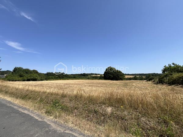 Terrain de 4 650 m²