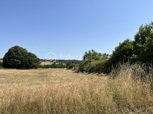 Terrain de 4 650 m²