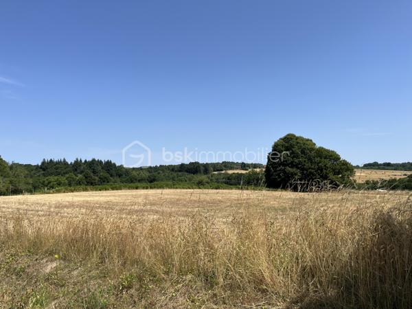 Terrain de 4 650 m²