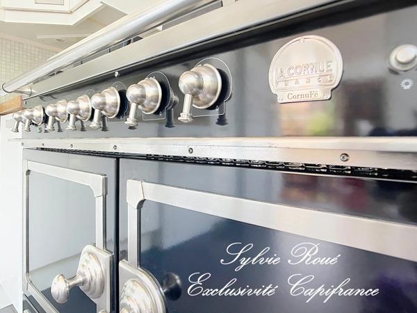 Maison d'architecte à vendre 7 pièces VILLEJUIF (94)