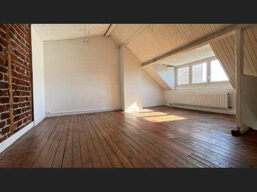 Charmante Maison avec jardin à vendre Lille Vauban