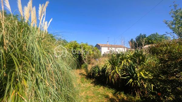 Située dans un environnement calme et verdoyant sur la commune de Béceleuf, cette ancienne propriété offre un formidable potentiel pour créer une résidence principale pleine de charme, une maison familiale ou un projet de gîtes.

Édifiée sur un terrain d'environ 12 000 m², la propriété bénéficie d'un cadre naturel privilégié comprenant un jardin, un pré ainsi qu'une petite forêt. Pour les amoureux de grands espaces, il est également possible d'acquérir 8 000 m² supplémentaires.

La maison développe aujourd'hui environ 70 m² habitables, avec de nombreuses possibilités d'agrandissement grâce à ses espaces aménageables.

Elle se compose actuellement de :

une chambre parentale,
une cuisine,
un salon,
un cellier,
deux pièces pouvant être aménagées selon vos envies,
un grenier entièrement aménageable.

À l'extérieur, plusieurs dépendances complètent l'ensemble :

un hangar à rénover,
un garage à rénover,
une dépendance actuellement utilisée comme atelier, pouvant être transformée en habitation, gîte, logement indépendant ou espace professionnel selon votre projet.

Des travaux déjà engagés :
Bien que la maison nécessite une rénovation complète, certains éléments constituent une base rassurante pour votre projet :
✔ Tableau électrique récent (les travaux restent à terminer sur les parties actuellement non habitables).
✔ Les ouvertures des pièces habitables sont équipées de fenêtres en double vitrage.

Un bien aux nombreuses possibilités :
Grâce à son important potentiel d'évolution, cette propriété conviendra parfaitement :
✔ à un premier achat avec projet de rénovation,
✔ à une famille souhaitant créer une grande maison de caractère,
✔ à un artisan recherchant de vastes dépendances,
✔ à un investisseur souhaitant développer un projet de gîtes ou de location,
✔ aux amoureux de la nature en quête d'un cadre de vie paisible.

Une situation idéale
Béceleuf offre un cadre de vie agréable entre campagne et proximité des services.
Vous rejoignez rapidement :
• Coulonges-sur-l'Autize : environ 10 minutes
• Champdeniers : environ 10 minutes
• Parthenay : environ 30 minutes
• Niort : environ 25 minutes
• La Rochelle : environ 1 h 15

Un bien rare par son potentiel, son terrain de plus d'un hectare et ses nombreuses dépendances. Une véritable page blanche pour donner vie au projet immobilier dont vous rêvez.
Pour plus d'informations ou pour organiser une visite, contactez-moi. Venez découvrir tout le potentiel de cette propriété et imaginez votre futur chez vous.