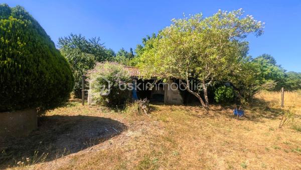 Située dans un environnement calme et verdoyant sur la commune de Béceleuf, cette ancienne propriété offre un formidable potentiel pour créer une résidence principale pleine de charme, une maison familiale ou un projet de gîtes.

Édifiée sur un terrain d'environ 12 000 m², la propriété bénéficie d'un cadre naturel privilégié comprenant un jardin, un pré ainsi qu'une petite forêt. Pour les amoureux de grands espaces, il est également possible d'acquérir 8 000 m² supplémentaires.

La maison développe aujourd'hui environ 70 m² habitables, avec de nombreuses possibilités d'agrandissement grâce à ses espaces aménageables.

Elle se compose actuellement de :

une chambre parentale,
une cuisine,
un salon,
un cellier,
deux pièces pouvant être aménagées selon vos envies,
un grenier entièrement aménageable.

À l'extérieur, plusieurs dépendances complètent l'ensemble :

un hangar à rénover,
un garage à rénover,
une dépendance actuellement utilisée comme atelier, pouvant être transformée en habitation, gîte, logement indépendant ou espace professionnel selon votre projet.

Des travaux déjà engagés :
Bien que la maison nécessite une rénovation complète, certains éléments constituent une base rassurante pour votre projet :
✔ Tableau électrique récent (les travaux restent à terminer sur les parties actuellement non habitables).
✔ Les ouvertures des pièces habitables sont équipées de fenêtres en double vitrage.

Un bien aux nombreuses possibilités :
Grâce à son important potentiel d'évolution, cette propriété conviendra parfaitement :
✔ à un premier achat avec projet de rénovation,
✔ à une famille souhaitant créer une grande maison de caractère,
✔ à un artisan recherchant de vastes dépendances,
✔ à un investisseur souhaitant développer un projet de gîtes ou de location,
✔ aux amoureux de la nature en quête d'un cadre de vie paisible.

Une situation idéale
Béceleuf offre un cadre de vie agréable entre campagne et proximité des services.
Vous rejoignez rapidement :
• Coulonges-sur-l'Autize : environ 10 minutes
• Champdeniers : environ 10 minutes
• Parthenay : environ 30 minutes
• Niort : environ 25 minutes
• La Rochelle : environ 1 h 15

Un bien rare par son potentiel, son terrain de plus d'un hectare et ses nombreuses dépendances. Une véritable page blanche pour donner vie au projet immobilier dont vous rêvez.
Pour plus d'informations ou pour organiser une visite, contactez-moi. Venez découvrir tout le potentiel de cette propriété et imaginez votre futur chez vous.