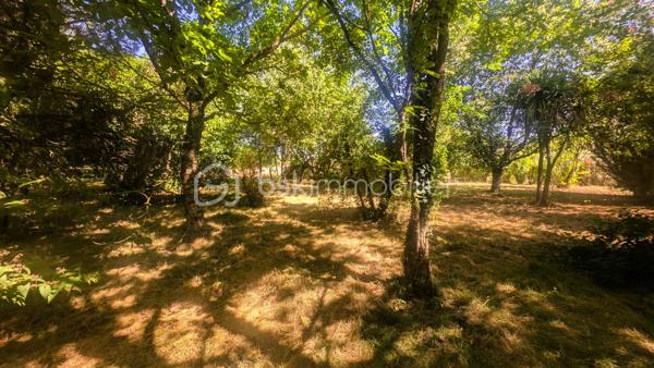 Située dans un environnement calme et verdoyant sur la commune de Béceleuf, cette ancienne propriété offre un formidable potentiel pour créer une résidence principale pleine de charme, une maison familiale ou un projet de gîtes.

Édifiée sur un terrain d'environ 12 000 m², la propriété bénéficie d'un cadre naturel privilégié comprenant un jardin, un pré ainsi qu'une petite forêt. Pour les amoureux de grands espaces, il est également possible d'acquérir 8 000 m² supplémentaires.

La maison développe aujourd'hui environ 70 m² habitables, avec de nombreuses possibilités d'agrandissement grâce à ses espaces aménageables.

Elle se compose actuellement de :

une chambre parentale,
une cuisine,
un salon,
un cellier,
deux pièces pouvant être aménagées selon vos envies,
un grenier entièrement aménageable.

À l'extérieur, plusieurs dépendances complètent l'ensemble :

un hangar à rénover,
un garage à rénover,
une dépendance actuellement utilisée comme atelier, pouvant être transformée en habitation, gîte, logement indépendant ou espace professionnel selon votre projet.

Des travaux déjà engagés :
Bien que la maison nécessite une rénovation complète, certains éléments constituent une base rassurante pour votre projet :
✔ Tableau électrique récent (les travaux restent à terminer sur les parties actuellement non habitables).
✔ Les ouvertures des pièces habitables sont équipées de fenêtres en double vitrage.

Un bien aux nombreuses possibilités :
Grâce à son important potentiel d'évolution, cette propriété conviendra parfaitement :
✔ à un premier achat avec projet de rénovation,
✔ à une famille souhaitant créer une grande maison de caractère,
✔ à un artisan recherchant de vastes dépendances,
✔ à un investisseur souhaitant développer un projet de gîtes ou de location,
✔ aux amoureux de la nature en quête d'un cadre de vie paisible.

Une situation idéale
Béceleuf offre un cadre de vie agréable entre campagne et proximité des services.
Vous rejoignez rapidement :
• Coulonges-sur-l'Autize : environ 10 minutes
• Champdeniers : environ 10 minutes
• Parthenay : environ 30 minutes
• Niort : environ 25 minutes
• La Rochelle : environ 1 h 15

Un bien rare par son potentiel, son terrain de plus d'un hectare et ses nombreuses dépendances. Une véritable page blanche pour donner vie au projet immobilier dont vous rêvez.
Pour plus d'informations ou pour organiser une visite, contactez-moi. Venez découvrir tout le potentiel de cette propriété et imaginez votre futur chez vous.