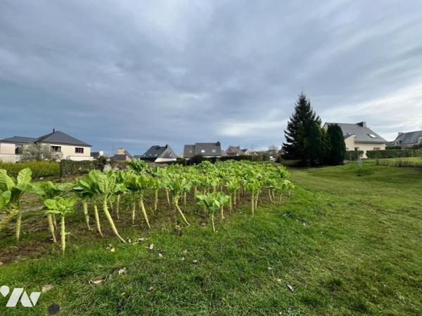 Terrain constructible 