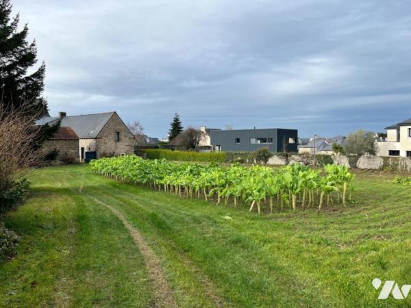 Terrain constructible 