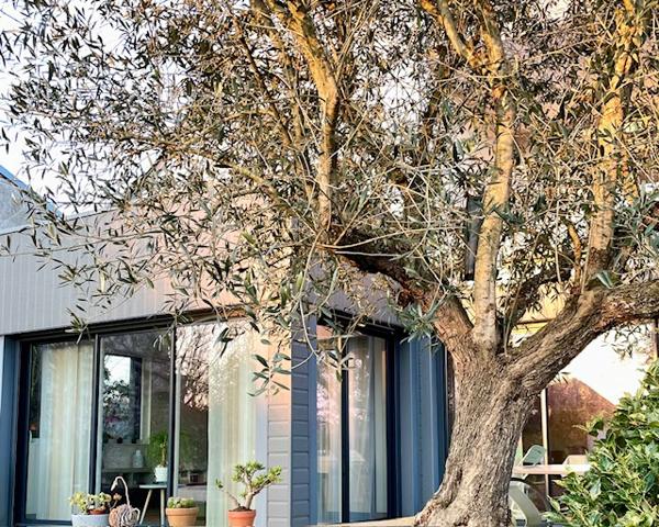 La Membrolle-sur-Longuenée (49770) VOLUMES ET BELLE LUMINOSITE sur 253 m² habitable, 5 chambres, sur parcelle de plus de 2000m²