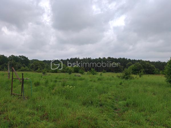 Au calme, au cœur d’un environnement naturel préservé, découvrez cette authentique longère de caractère d’environ 200 m² habitables, implantée sur plus de 13 hectares de prairies, bois et proto-forêt.

La maison a bénéficié d’une rénovation de qualité privilégiant les matériaux biosourcés, permettant d’obtenir un diagnostic énergétique performant. Une partie des aménagements reste à finaliser, laissant aux futurs propriétaires la possibilité de personnaliser certains espaces selon leurs envies.

Les travaux déjà réalisés (entreprises locales) :
•	Pose d’IPN
•	Charpente et couverture (2019)
•	Menuiseries double vitrage à isolation renforcée (2020)
•	Électricité de l’étage refaite en 2025
•	Ballon thermodynamique 250 L (2025)
•	Chauffage par chaudière à granulés et poêle à bois (2018)

Distribution :
Au rez-de-chaussée :
•	Grande pièce de vie traversante et triple exposition de 73 m²
•	Cuisine séparée
•	Buanderie/Local technique
•	WC séparés
À l’étage :
•	3 grandes chambres de 17 à 21 m²
•	Salle d’eau
•	Salle de jeux / bibliothèque de 34 m² avec toit cathédrale
•	Mezzanine à aménager selon vos projets
Travaux restant à prévoir :
•	Rafraîchissement du rez-de-chaussée selon les goûts des futurs acquéreurs
•	Assainissement autonome non conforme

Dépendances :
•	Hangar de 80 m² avec chambre froide
•	Appentis de 20 m² avec barbecue, eau et électricité

Extérieurs :
Le terrain de 13 hectares offre un cadre rare, mêlant prairies, bois et espaces en libre évolution, idéal pour un projet de vie au vert, une activité agricole, équestre, artisanale ou d’accueil. Une mare ainsi qu’un autre petit point d’eau viennent enrichir cet environnement préservé (Charte Natura 2000), favorable à la biodiversité et à la richesse des écosystèmes locaux.

Photos supplémentaires sur demande

Un bien atypique et évolutif, alliant charme de l’ancien, confort énergétique et fort potentiel. Unique sur le secteur.