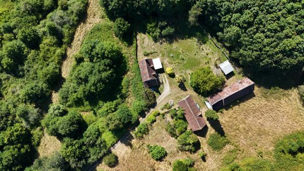 Propriété sur 3 hectares de bois à Saint-Jean-Pierre-Fixte