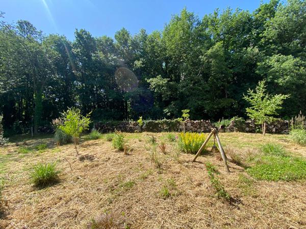 Propriété sur 3 hectares de bois à Saint-Jean-Pierre-Fixte