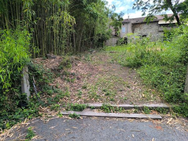 IMMEUBLE +Dépendances + Terrain constructible