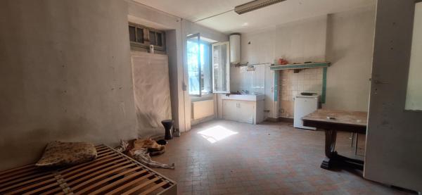 IMMEUBLE +Dépendances + Terrain constructible
