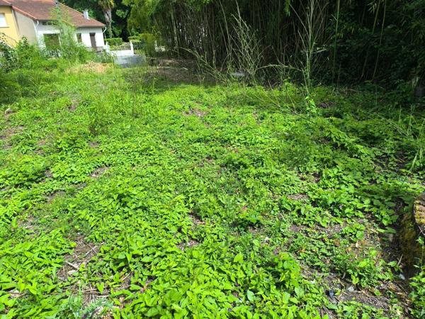 IMMEUBLE +Dépendances + Terrain constructible