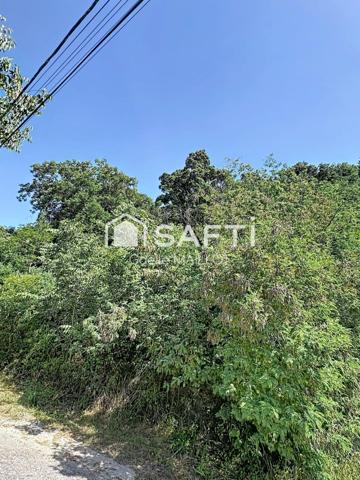 Grand terrain à bâtir avec forêt.