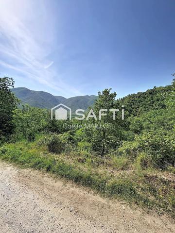 Grand terrain à bâtir avec forêt.