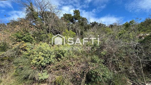 Grand terrain à bâtir avec forêt.