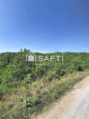 Grand terrain à bâtir avec forêt.