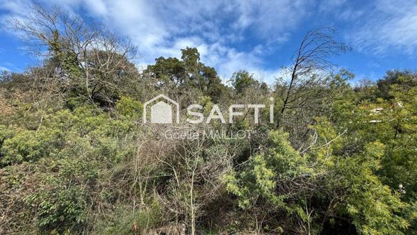 Grand terrain à bâtir avec forêt.