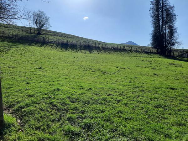 Terrain Sare 600 m2