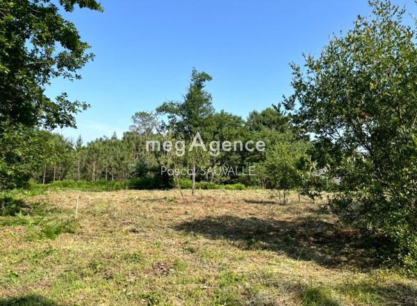 Terrain à CHANCELADE, 24650 - 1124m²