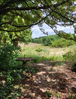 Lamothe-Capdeville (82130) TERRAIN surface totale 4304 m2 - DONT 780 m2 constructible